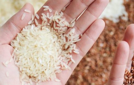 rice on hand glycemic index